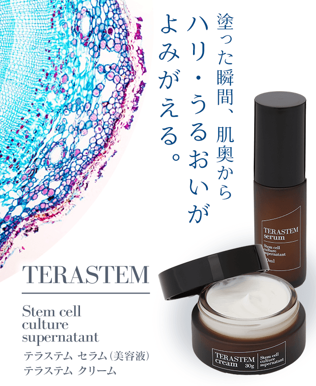 TERASTEM テラステムセラム テラステムクリーム セット-